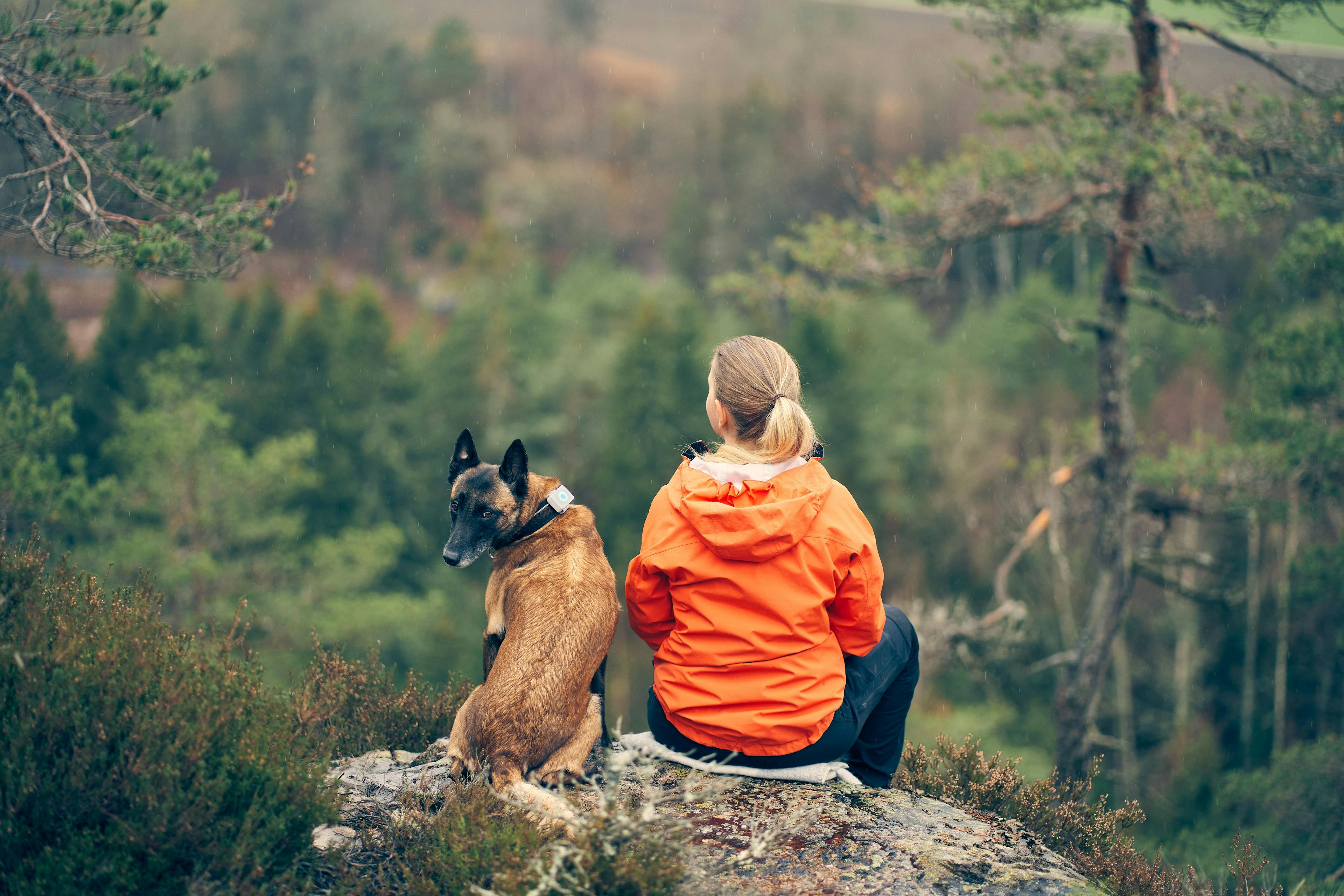 Lildog GPS y un perro en el bosque.