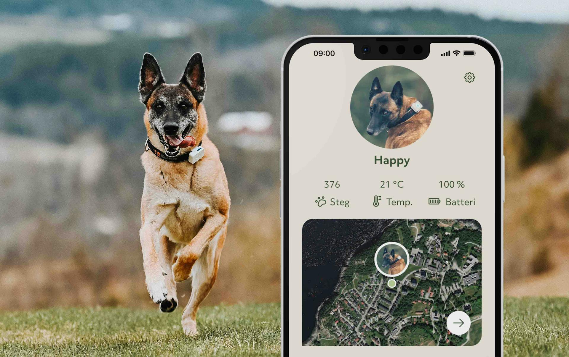 Hund, GPS og App