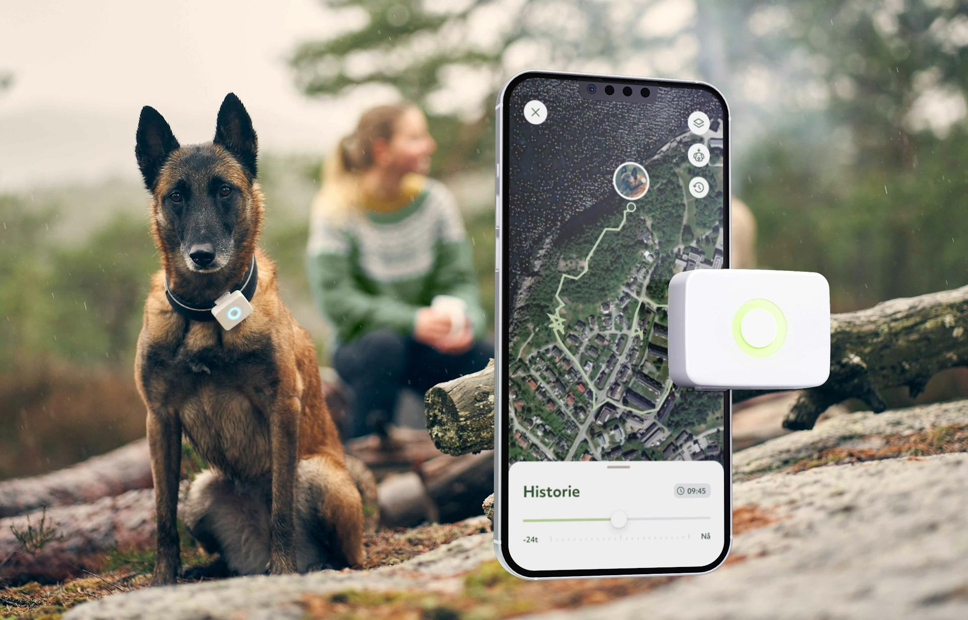 Hund med GPS-tracker