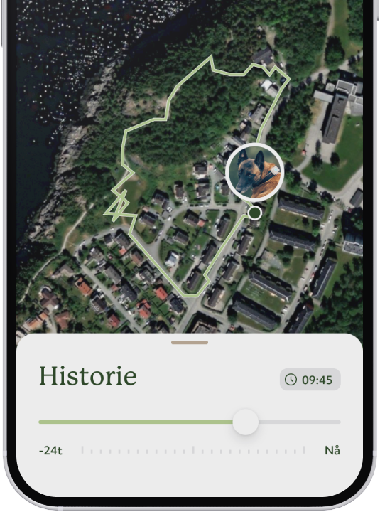 lildog gps-tracker viser Posisjonshistorikk  i mobilapplikasjon