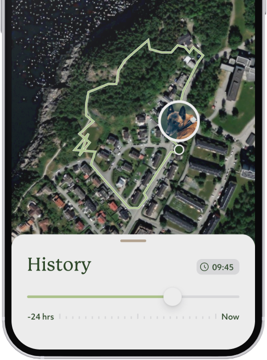 lildog gps-tracker show location history in mobile application